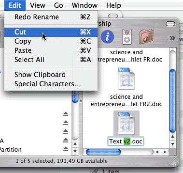 Editable file name in icon view