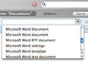 Different kinds of MS Word files